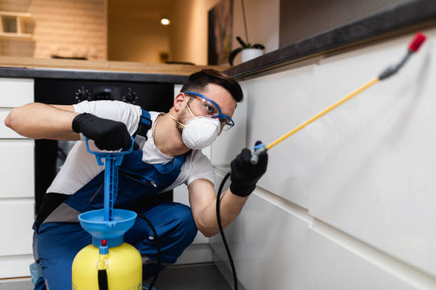 Trusted Woodmore, MD Pest Control Experts
