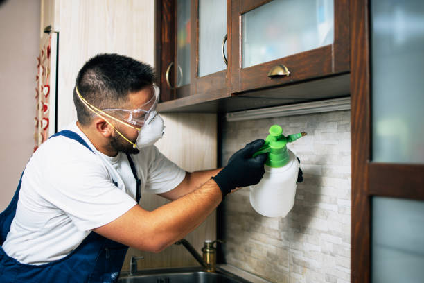 Best Residential Pest Control  in Woodmore, MD