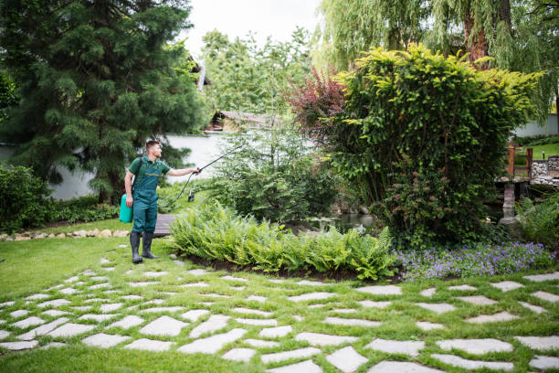 Best Pest Removal Services  in Woodmore, MD