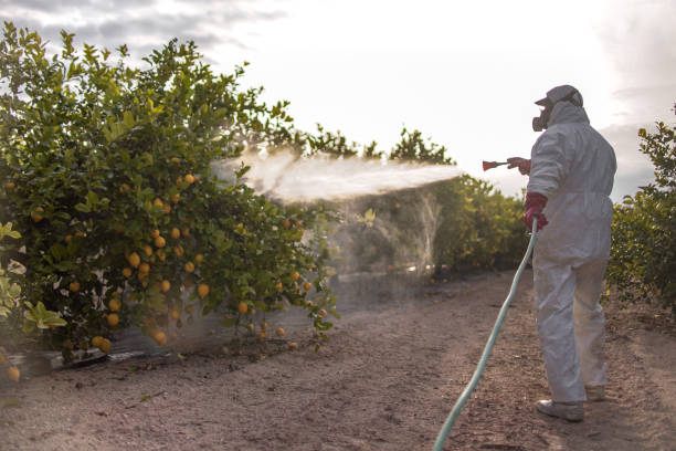 Best Emergency Pest Control  in Woodmore, MD
