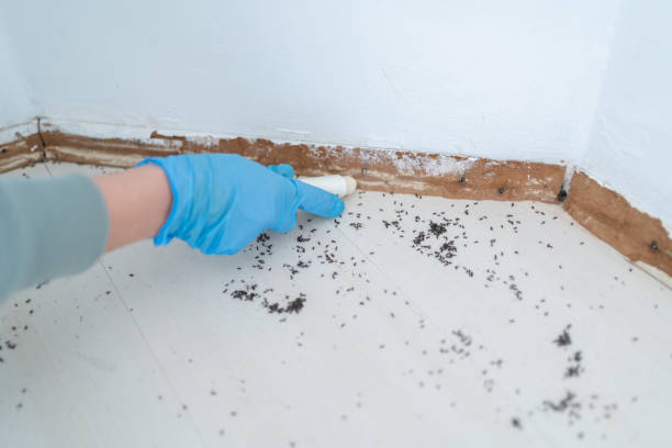 Pest Control for Restaurants in Woodmore, MD