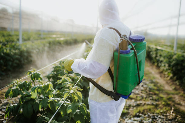 Best Pest Prevention Services  in Woodmore, MD